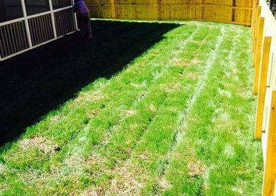 aerating-and-seeding-after1