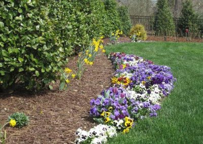 annual-landscaping-planting-holly-springs1