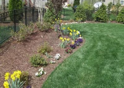 annual-springs-planting-holly-springs1