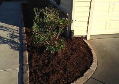 bed-edging-cary1