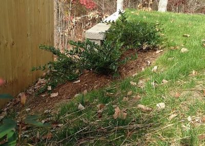 planting-and-seeding-fuquay-varina2