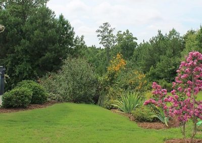 plantings-cary1