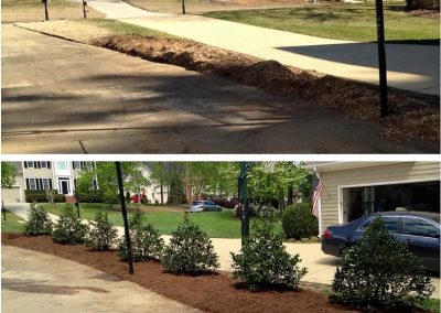 tree-planting-before-after1-cary-nc
