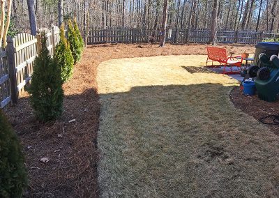03222019-lawn-services-holly-springs-1
